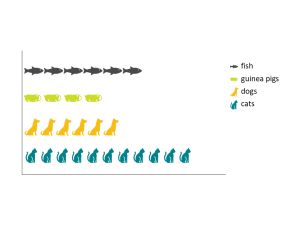 a bar graph made of rows of fish, guinea pigs, dogs, and cats